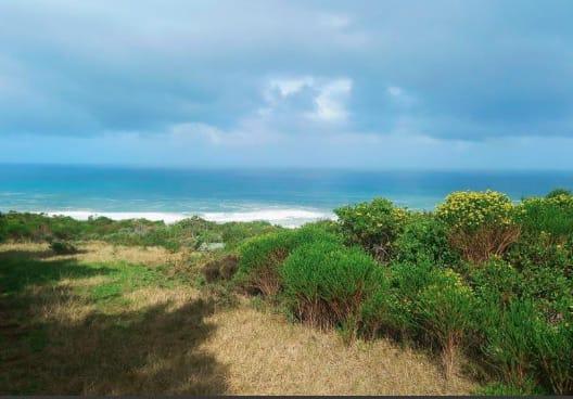 0 Bedroom Property for Sale in Moquini Western Cape